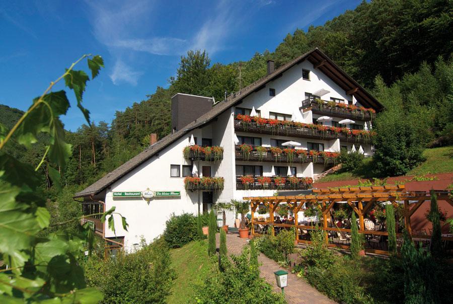 Hotel Die Kleine Blume Erfweiler Zewnętrze zdjęcie